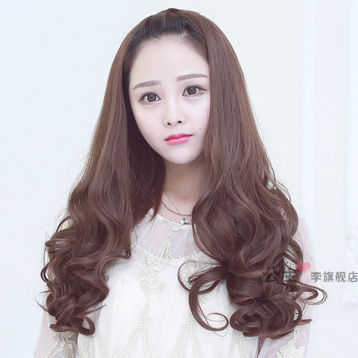 Perruque Les cheveux longs - Ref 2608317 Image 1