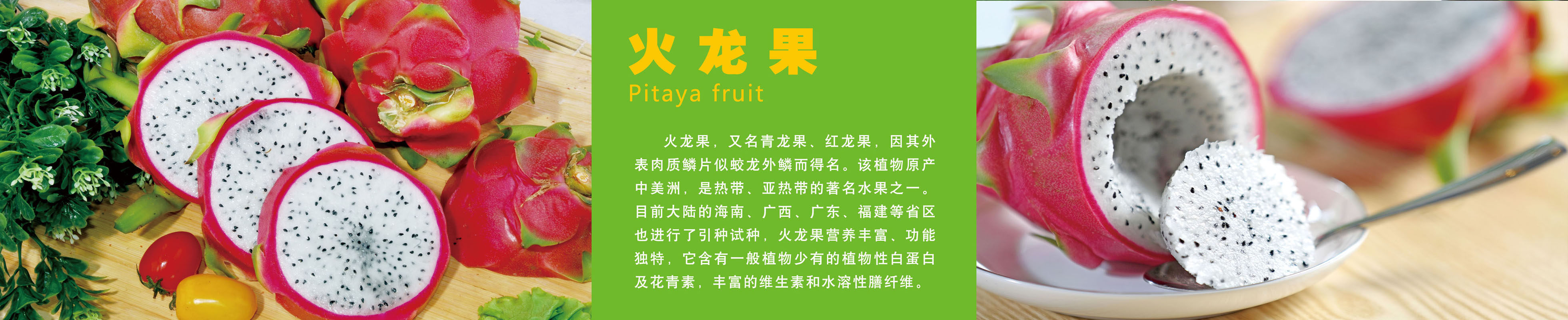 740海报印制展板写真喷绘贴纸562水果店水果介绍水果营养价值