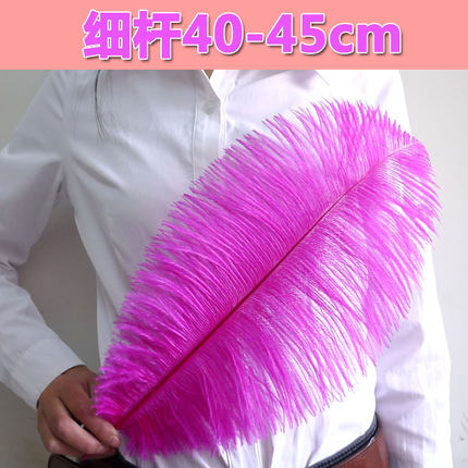 40~45厘米鸵鸟羽毛 婚庆酒店KTV摆设舞台演出道具装饰品胭脂粉色