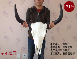 牦牛头骨工艺品 真牛头装饰品 牛羊头骨标本 特色手工艺品挂摆件