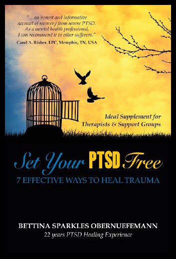 【预售】Set Your Ptsd Free: 7 Effective Ways to Heal Trau