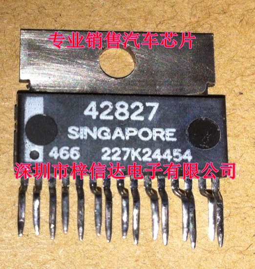 42827 德尔福MT20红白插汽车发动机电脑ECU 怠速控制模块驱动芯片