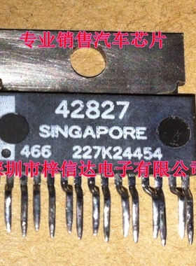 42827 德尔福MT20红白插汽车发动机电脑ECU 怠速控制模块驱动芯片