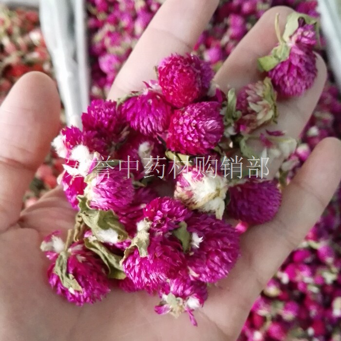 千日红花茶 花草茶千日红  5