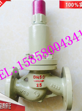 AH42F/AHN421F-16C/40C-DN50永一碳钢水平式立式液相安全回流阀