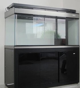 彩蝶龙潭新兵2米乘1米 魟鱼缸 超白龙鱼