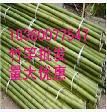 竹竿粗细长短可随意定制，量大从优！普通快递发货有长度限制，需2米以上长度请与我们的客服联系或电话：18360077547 本店常年供应青竹苗 早园竹苗 金镶玉竹苗 紫竹苗 佛肚竹 罗汉竹苗，数量大，成活率高，量大从优！