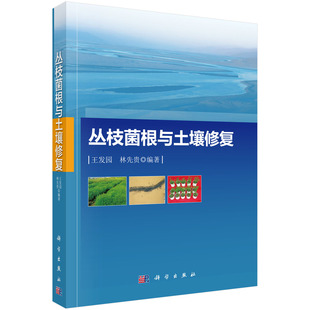 正版现货 丛枝菌根与土壤修复 王发园 林先贵 科学出版社