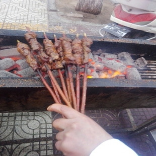 50厘米新疆红柳烤肉签子 烧烤签子红柳枝