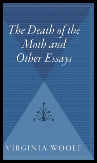 美国库房发货，通常付款后5-8周到货！