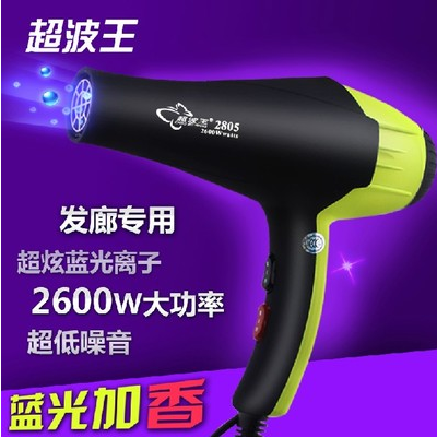 宠物吹风机狗狗猫专用吹毛机大功率冷热强风低噪比熊金毛泰迪风筒
