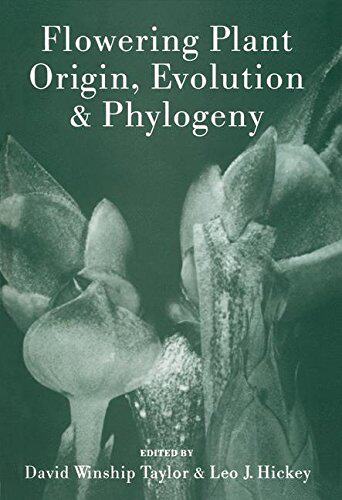 【预售】Flowering Plant Origin, Evolution & Phylogeny