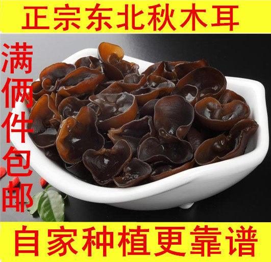 正宗碗儿纯绿色生态自产自销木耳