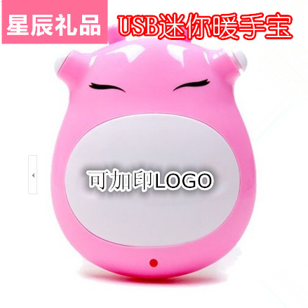 Réchauffeur USB pour les mains - Ref 417243 Image 1