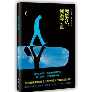 我承认我撒了谎 社会小说 书籍