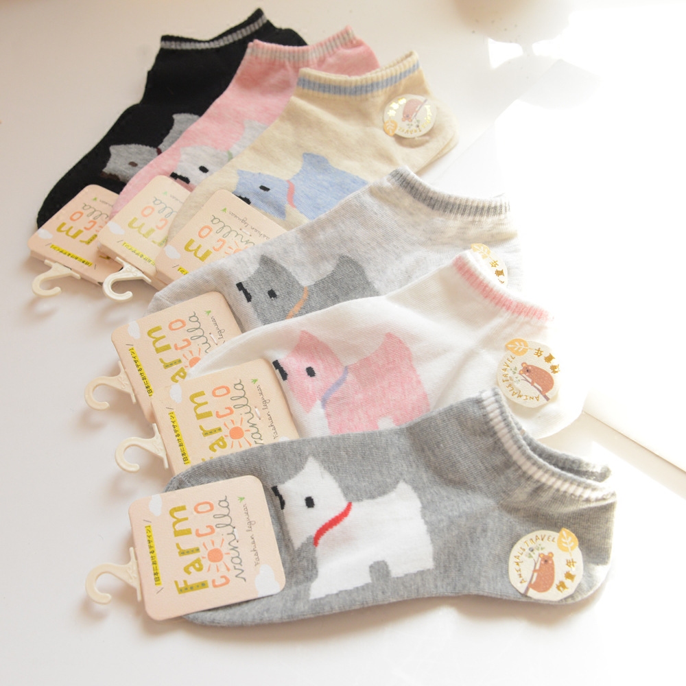 Chaussettes - collants simple - Ref 762169 Image 1