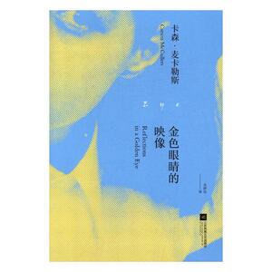 金色眼睛的映像 中国现当代随笔 书籍