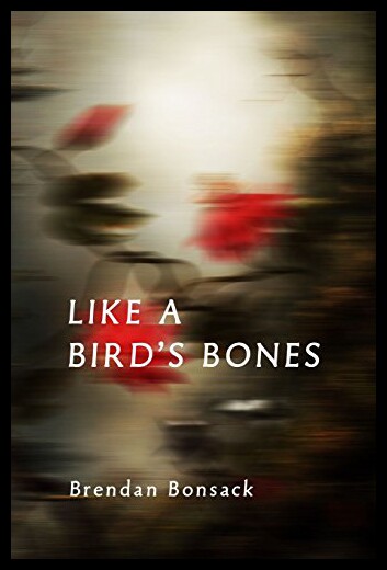 【预售】Like a Bird's Bones