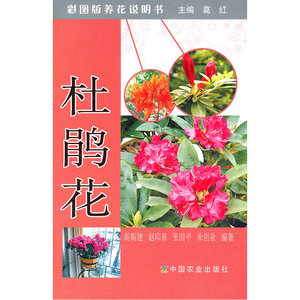 杜鹃花/彩图版养花说明书