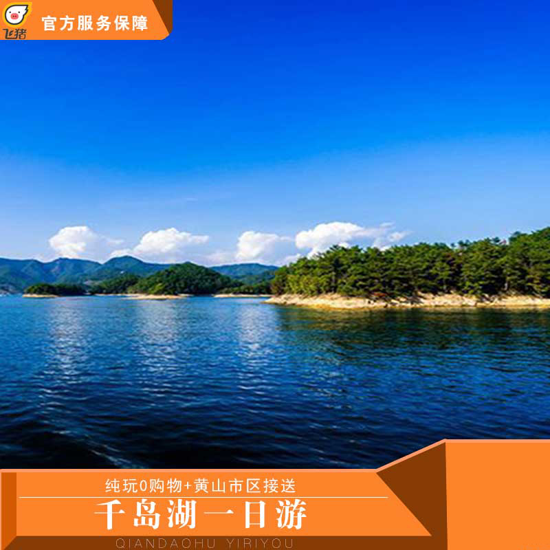 千岛湖大巴纯玩一日游 游轮登梅峰岛之巅 赏湖光山色