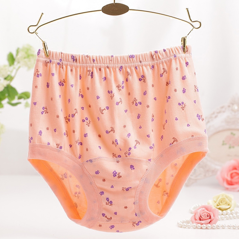 Slip Moyen-âge simple en coton - Ref 640615 Image 4