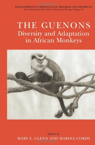 美国库房发货，通常付款后5-8周到货！