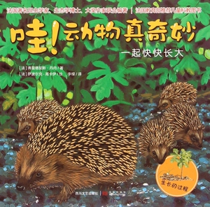 哇动物真奇妙(一起快快长大) 博库网