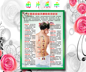 写真广告海报知识挂图KT板定制十四条经络不通危害背部解析图简介