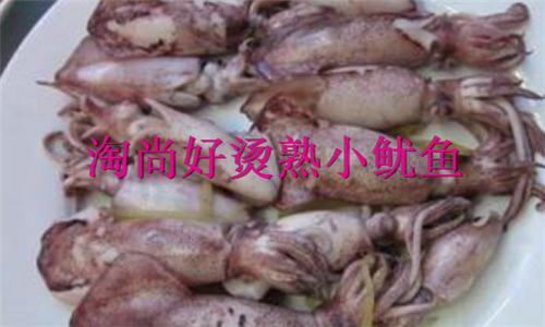 包邮潮州特产烫熟小鱿鱼潮汕乌贼鱿鱼广东海鲜鱼饭饶平特产鱿鱼