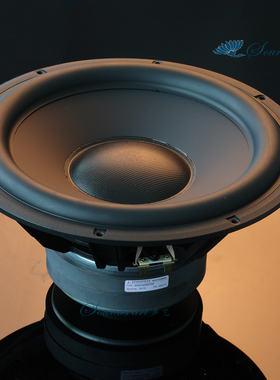 丹麦SCAN-SPEAK (绅士宝）30W/4558T00低音炮SUB 12寸喇叭单元