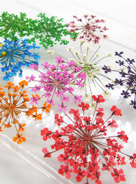 雪珠花蕾丝花滴胶干花手机壳diy