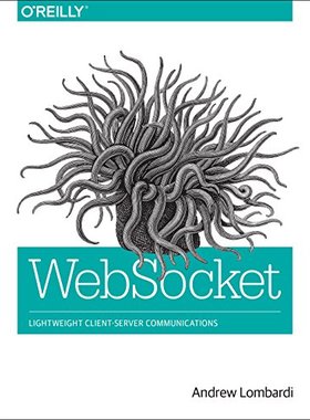 【预售】Websocket