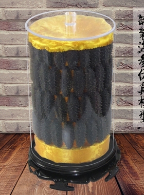 小中大罐装海产店柜台展示摆件