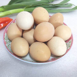 大别山安徽金寨正宗新鲜农家自养散养纯月子柴笨草鸡蛋30枚