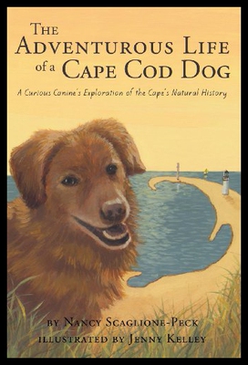 【预售】The Adventurous Life of a Cape Cod Dog: A Curious