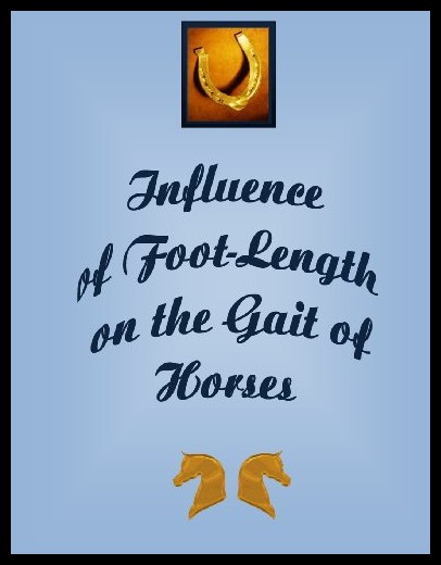 【预售】influence of the foot-length on the gait of horse