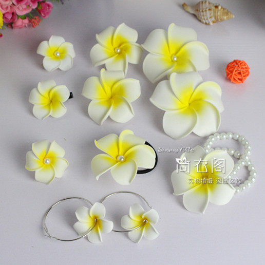 Accessoire cheveux en autre - Ref 1199797 Image 1