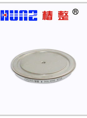 椿树  椿整 雪崩二极管  SKN ZP ZE4000A 1600V