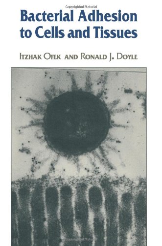 美国库房发货，通常付款后5-8周到货！