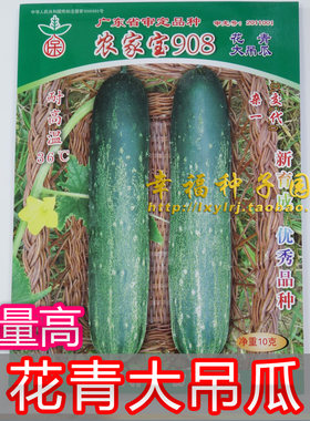 保丰农家宝908大青瓜种子旱黄瓜