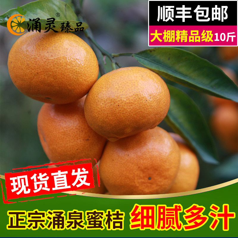 涌泉大棚蜜桔皮薄无核黄岩临海宫川蜜橘新鲜桔子水果10斤包邮,水产肉类/新鲜蔬果/熟食,桔子,淘宝优惠券,粉丝福利购,淘宝优惠卷