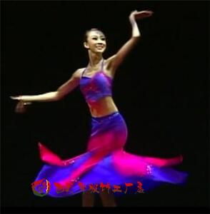 2025傣族鱼尾裙演出服月之花语