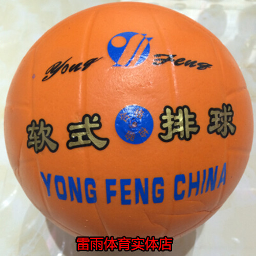 Ballon de volley - Ref 2011909 Image 1