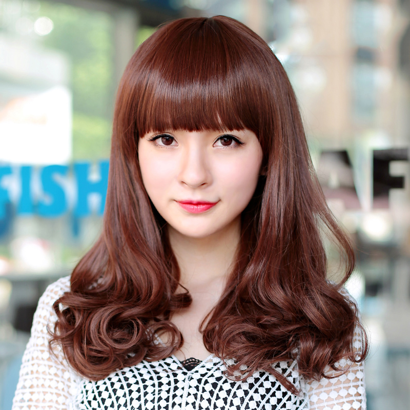 Perruque Les cheveux longs - Ref 2608116 Image 1