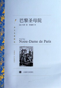 巴黎圣母院(译文名著精选)