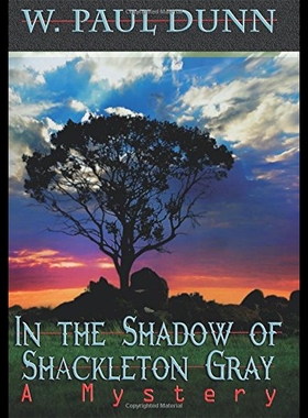 【预售】In the Shadow of Shackleton Gray: A Mystery