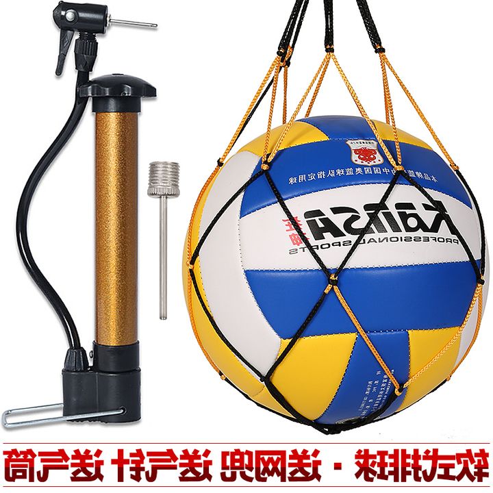 Ballon de volley - Ref 2016752 Image 1