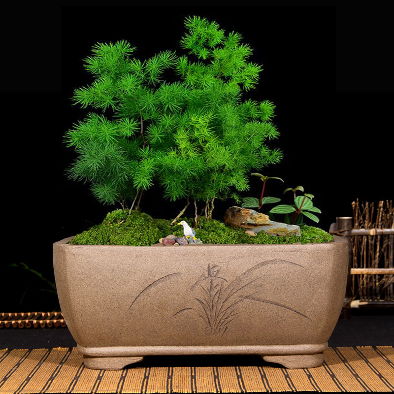 宜兴四方花卉特惠包邮紫砂花盆