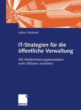 【预售】It-Strategien Fur Die Offentliche Verwaltung: ...