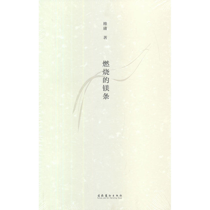 燃烧的镁条